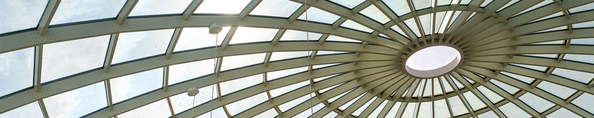 SDSU library dome roof